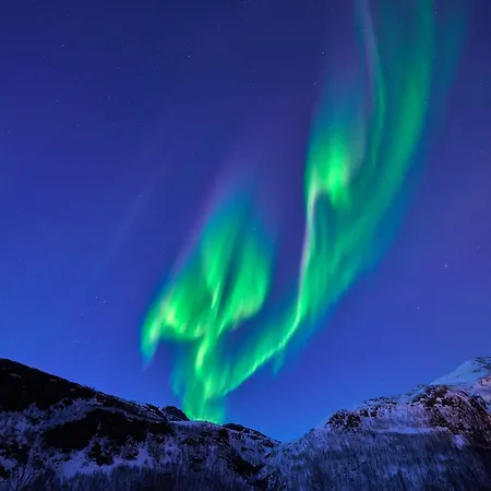 Arctic Sky Loft I Sea View I * ترومسو